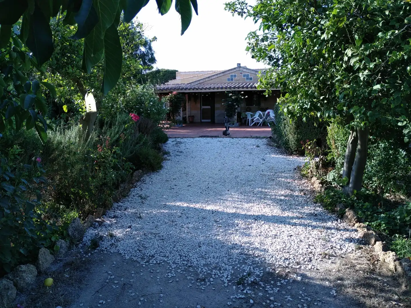 Houses for sale in Villanueva Golf