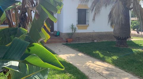 Photo 3 of Houses for sale in Hinojos, Huelva