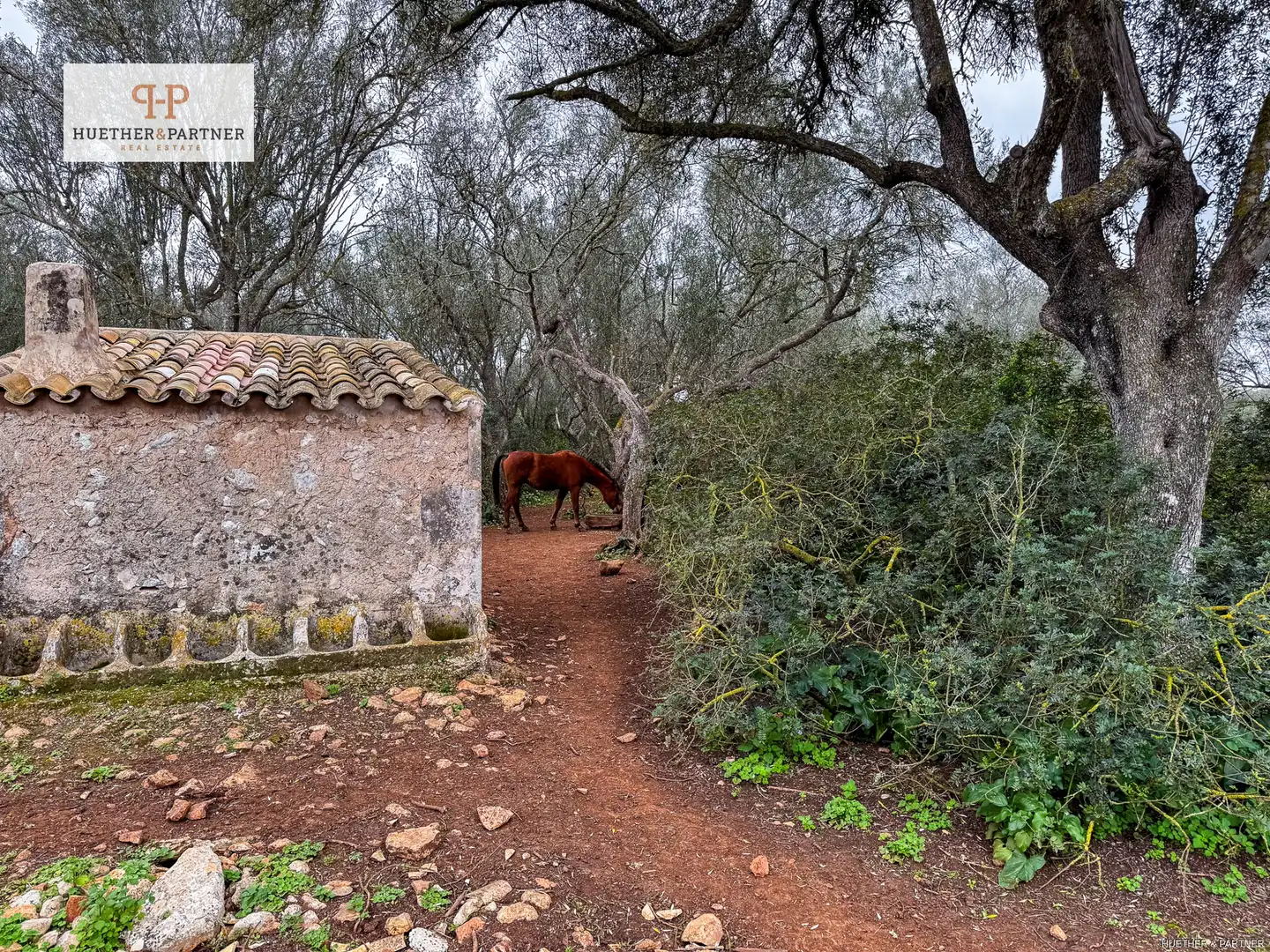 Residential land for sale in Felanitx Poble, imagen 4