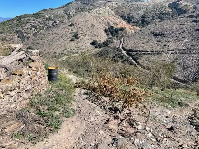 Terreni e lotti in vendita a Murtas, imagen 20