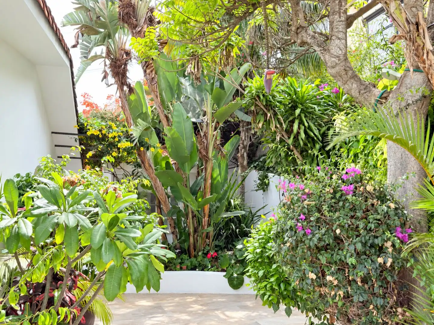 Jardí de Casa o xalet en venda en Puerto de la Cruz amb Terrassa i Piscina