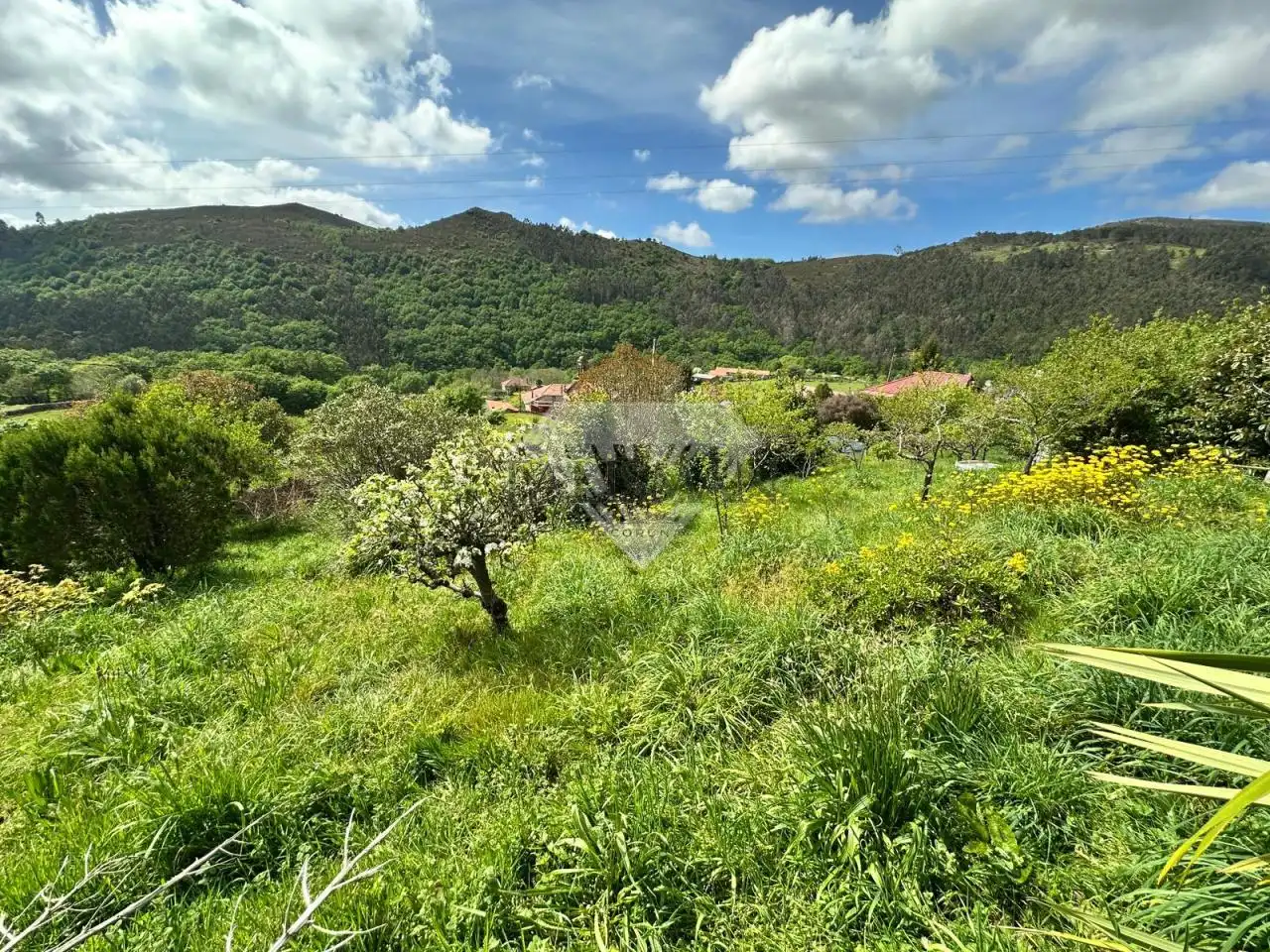 Casa o chalet en venta en A Lama   con Calefacción, Jardín privado y Piscina