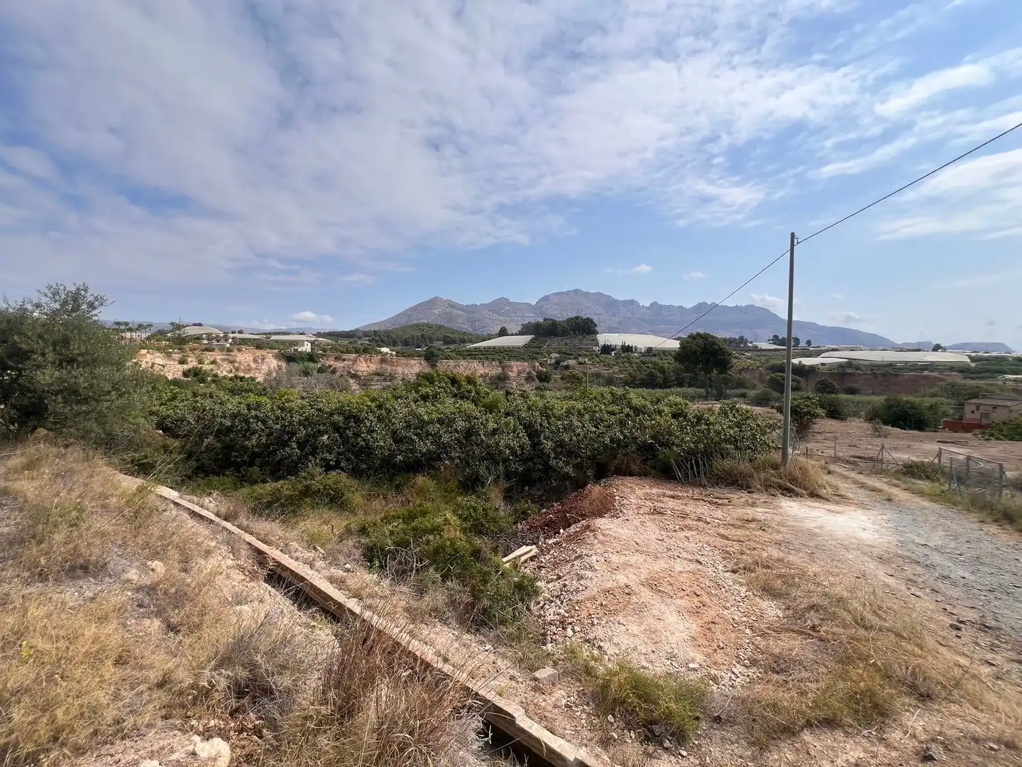 Terrain rustique à vendre à pesauro, imagen 8