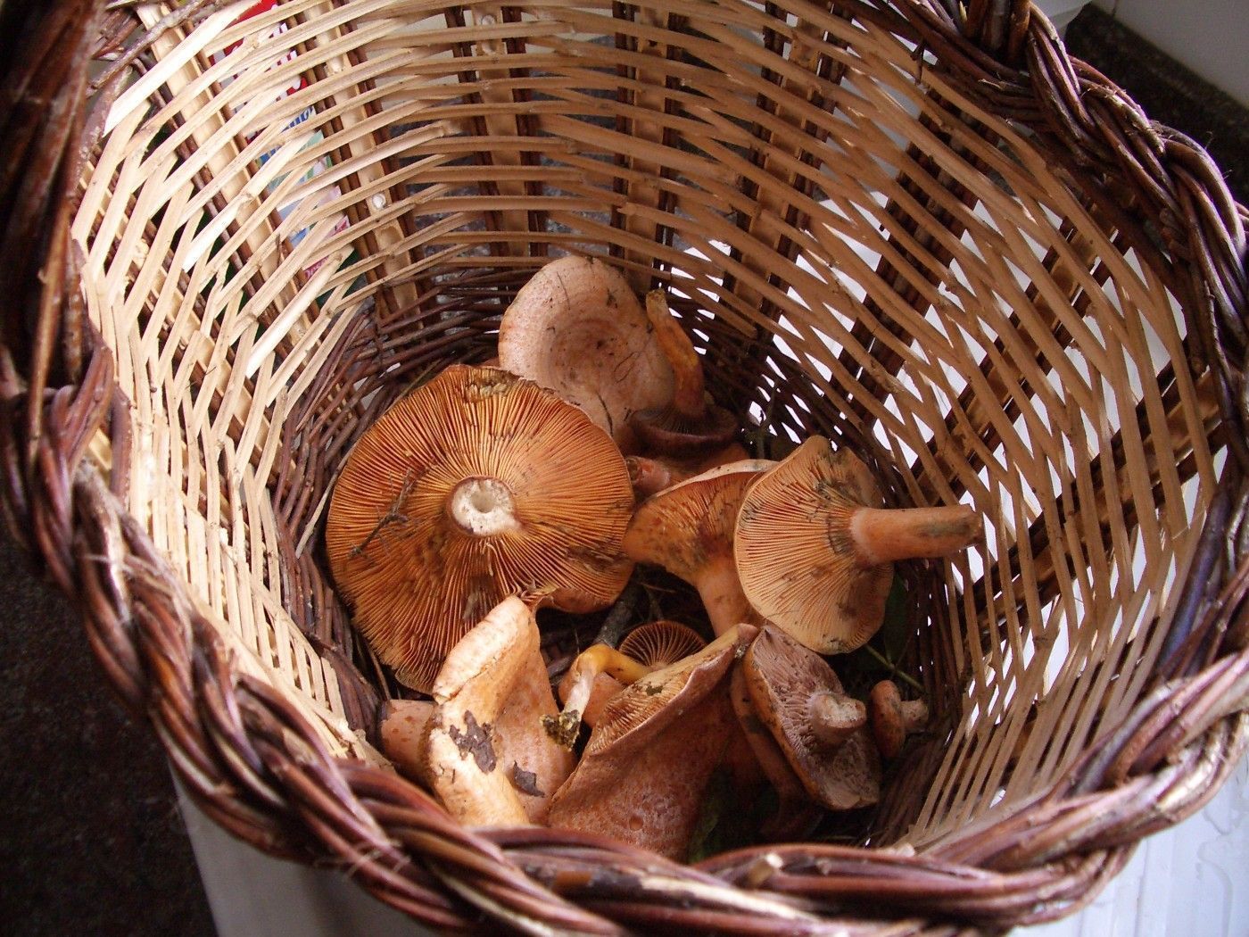 Jardí de Residencial en venda en Moià