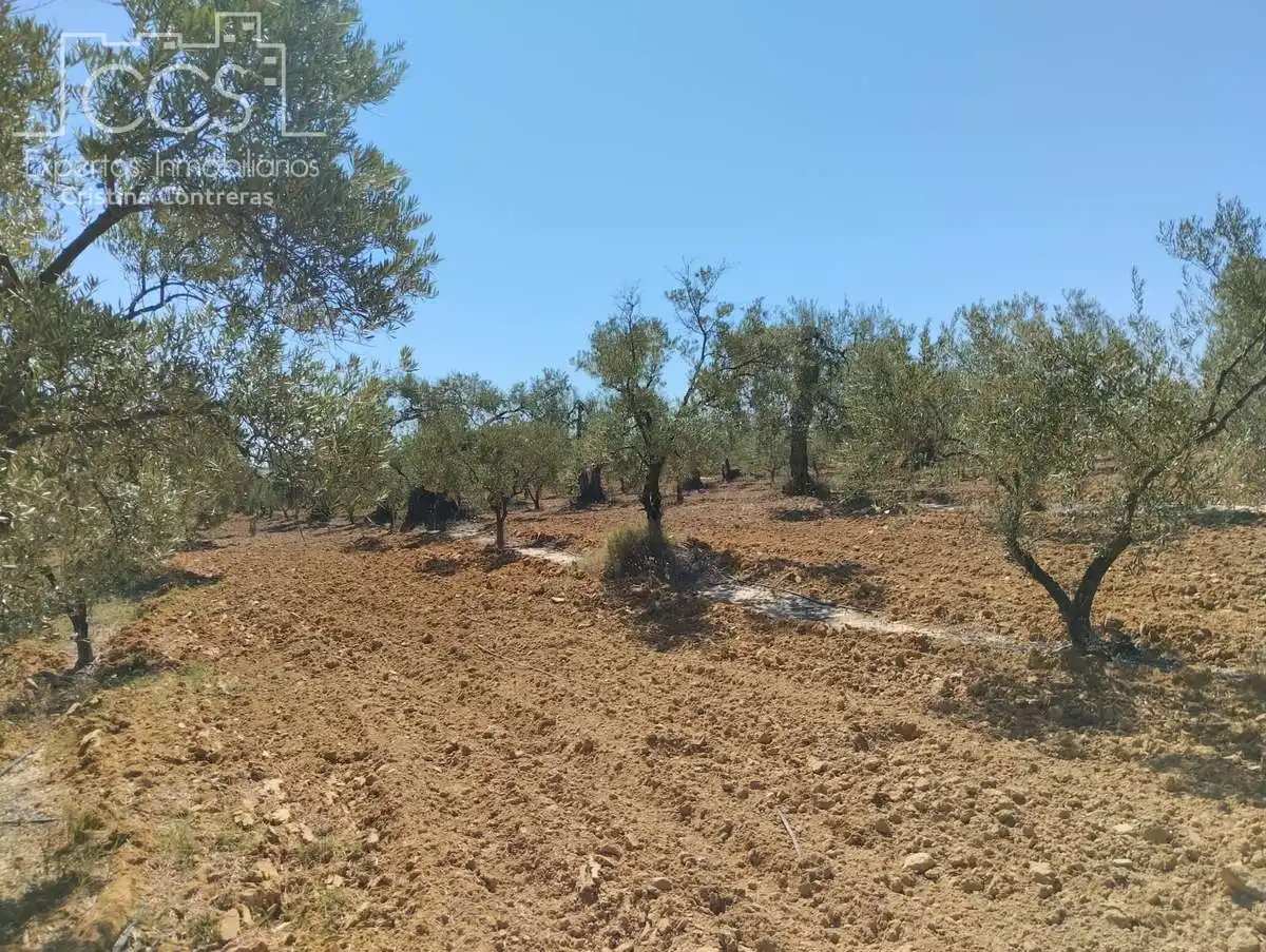 Terreni e lotti in vendita a Almonte ciudad