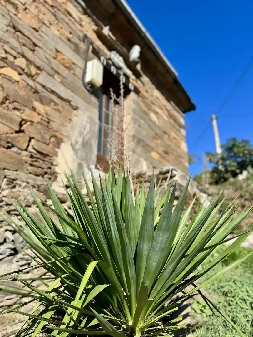 Vista exterior de Casa o xalet en venda en Ibias amb Balcó