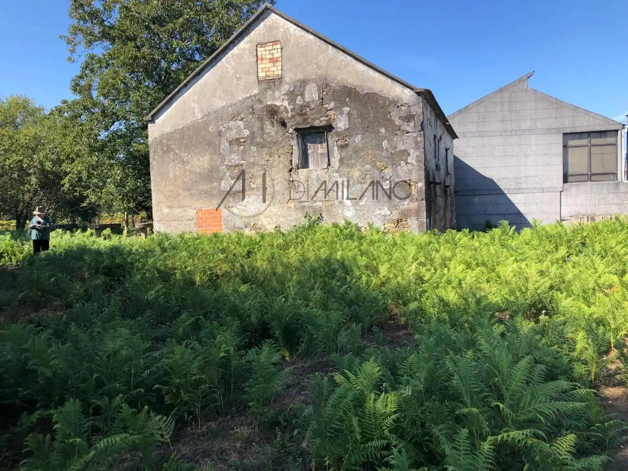 Casa o xalet en venda en Mos amb Jardí privat
