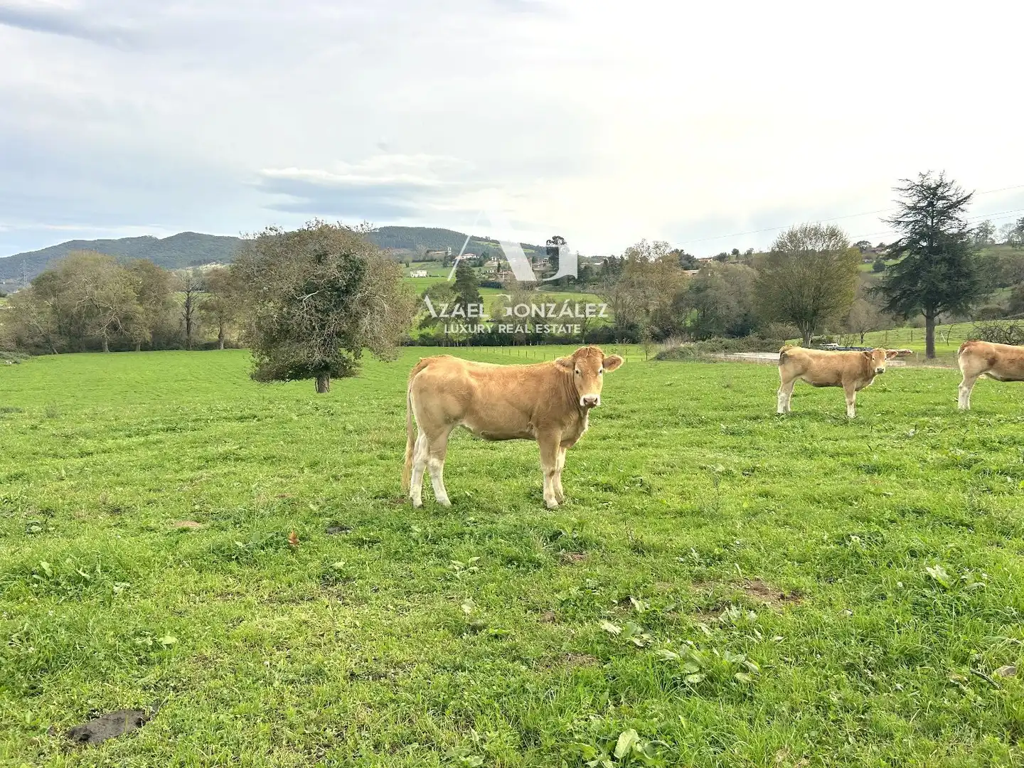 Rural land for sale in El Cierro, Ribamontán al Monte 608, imagen 2