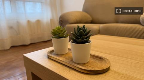 Foto 5 de Apartament per a compartir a Matiko - Ciudad Jardín, Bilbao