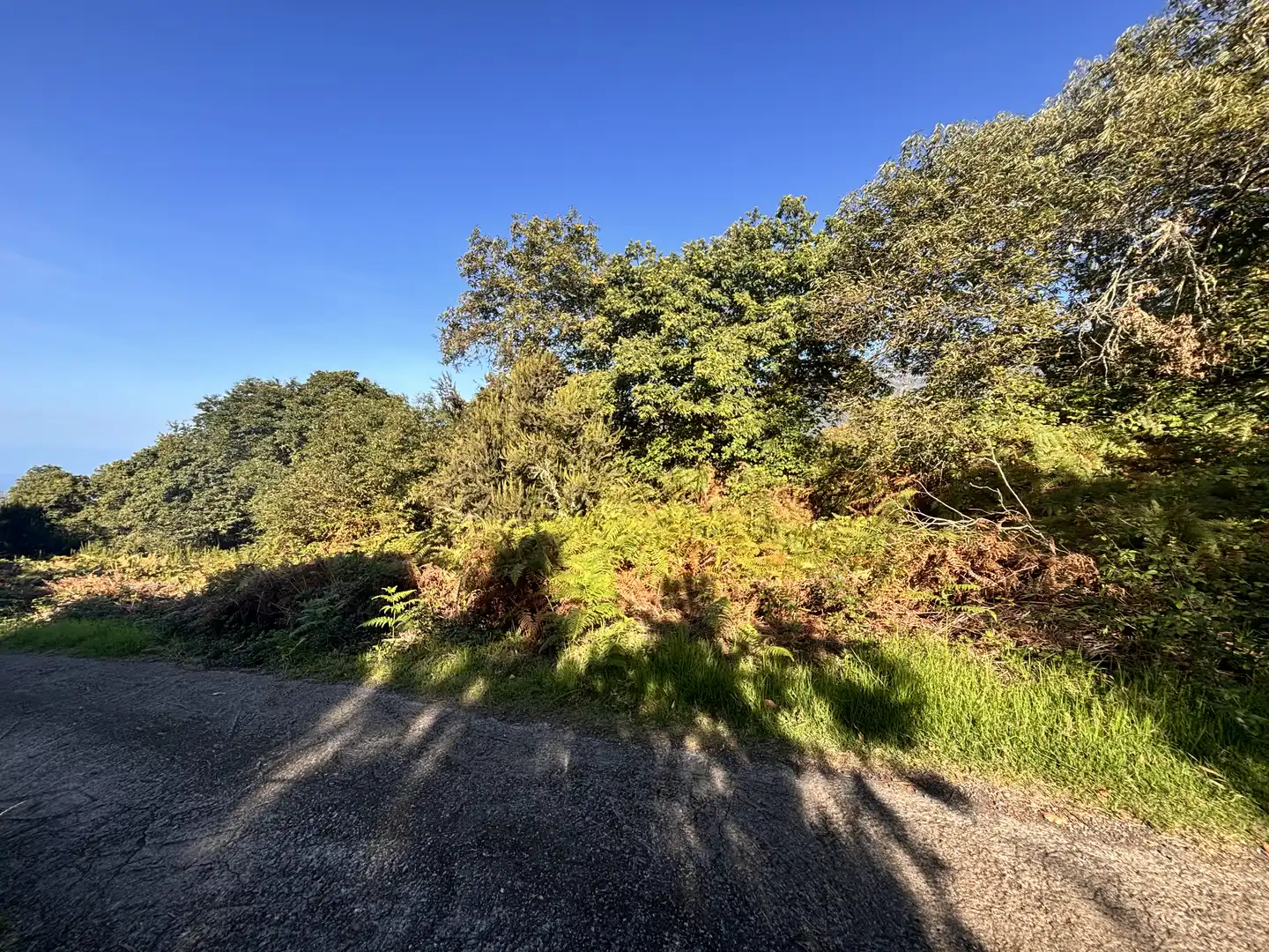 Terreno rustico in vendita a Lugar el Balayo
