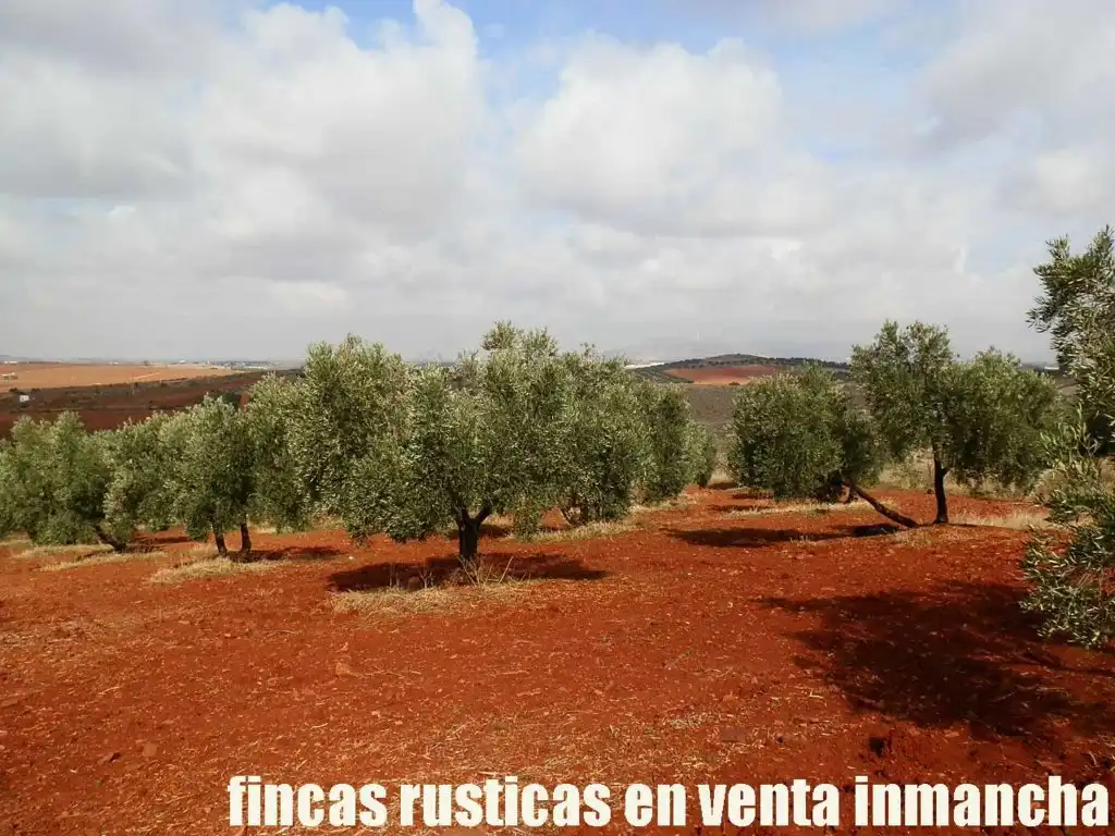 Rural land for sale in Valdepeñas