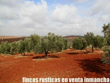 Rustikales Grundstück zum Verkauf in Valdepeñas