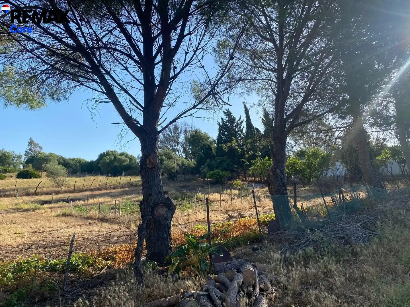 Terreny rústic en venda a Medina Sidonia, imagen 6