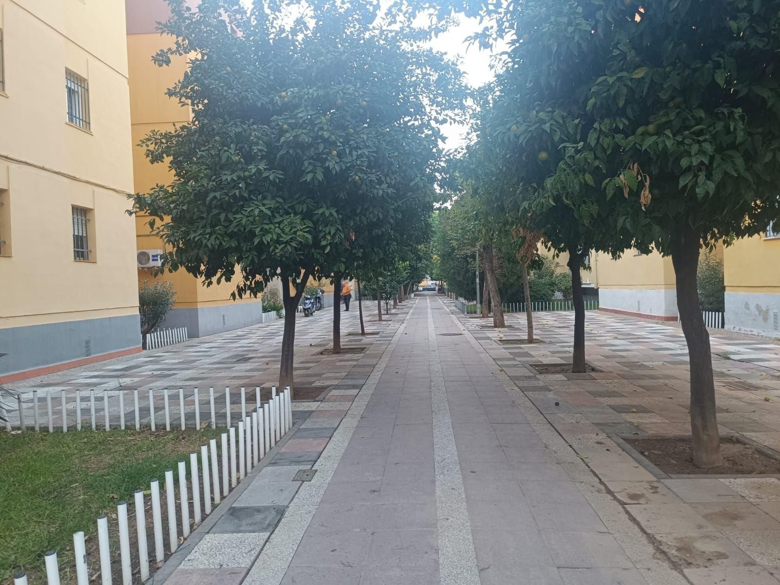 Vista exterior de Pis en venda en  Sevilla Capital amb Aire condicionat, Terrassa i Traster