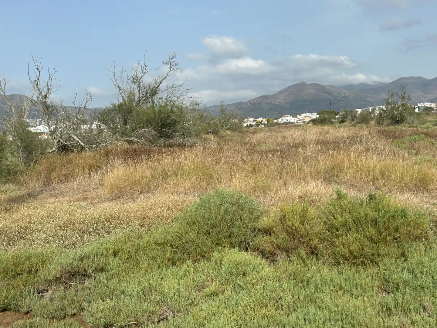 Terreny rústic en venda a Castelló d'Empúries, imagen 8