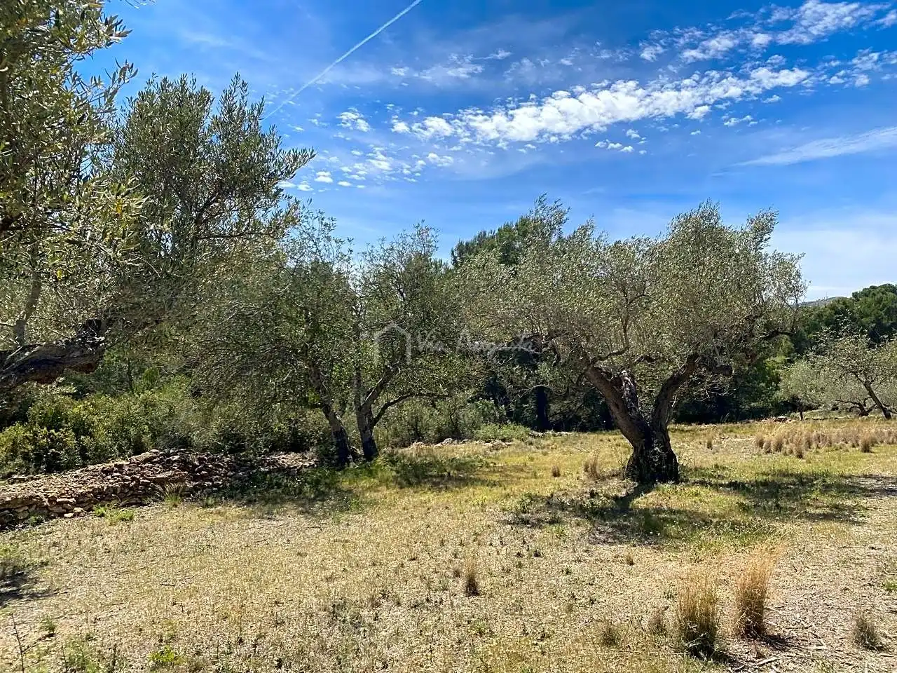 Terreno rustico in vendita a Mas de Baralluga, imagen 7