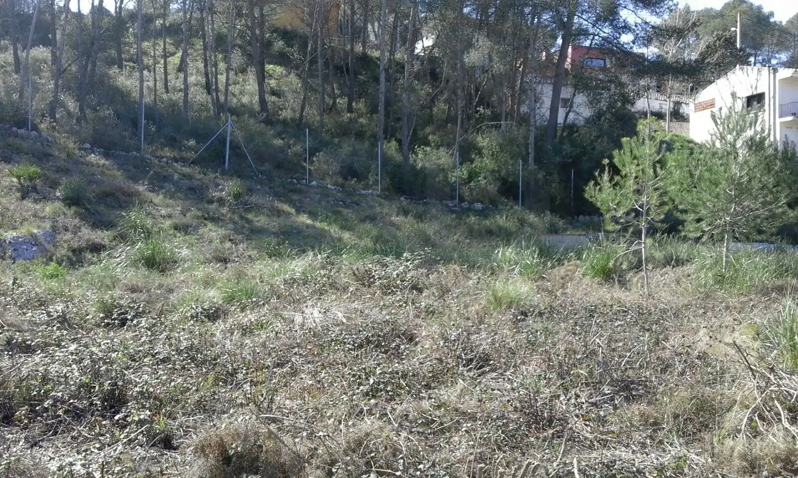 Terreny residencial en venda a Carrer del Senglar, imagen 14