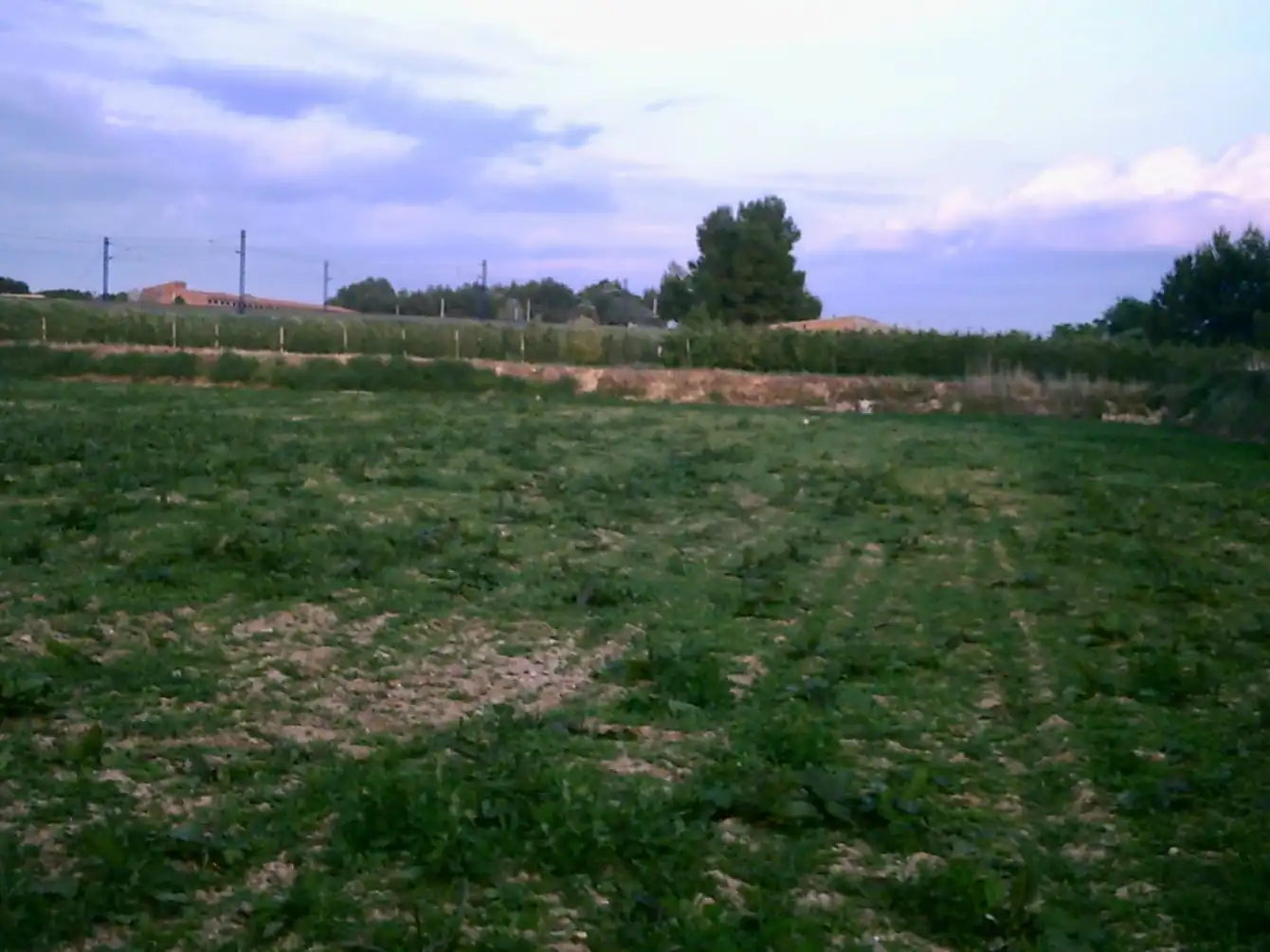 Terreno en venta en Lleida
