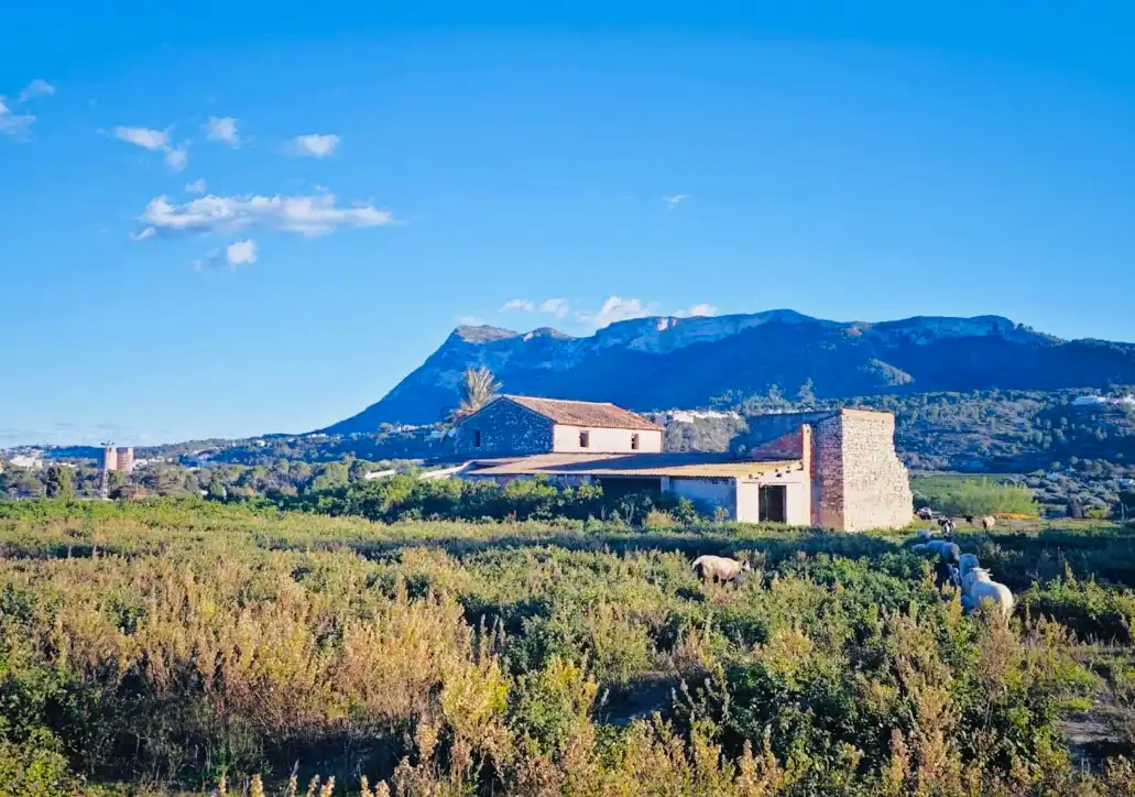 Villa avec jardin à vendre à El Puerto