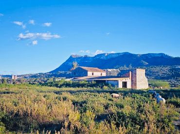 Chalet con jardín en venta en El Puerto