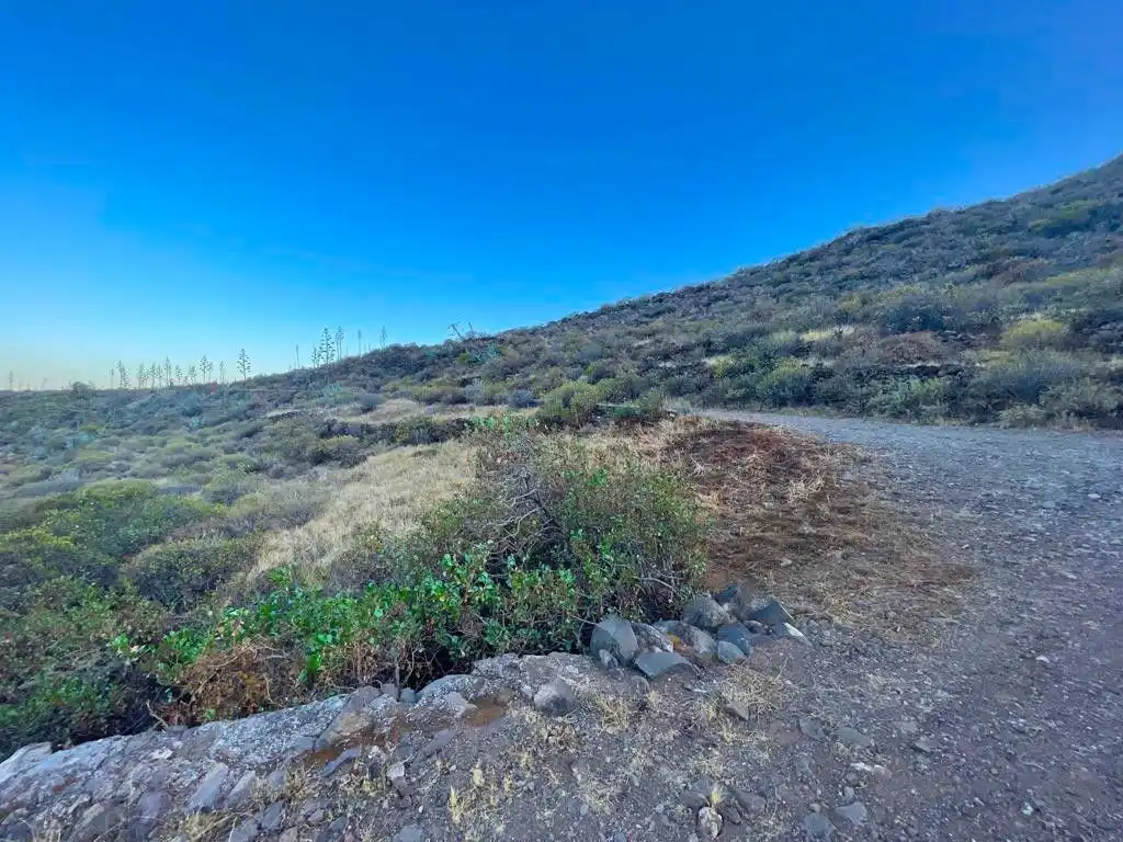 Rural land for sale in Tabuco, imagen 16