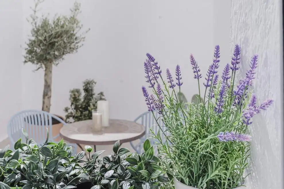 Terraza de Planta baja en venta en Madrid con Aire acondicionado, Calefacción y Terraza