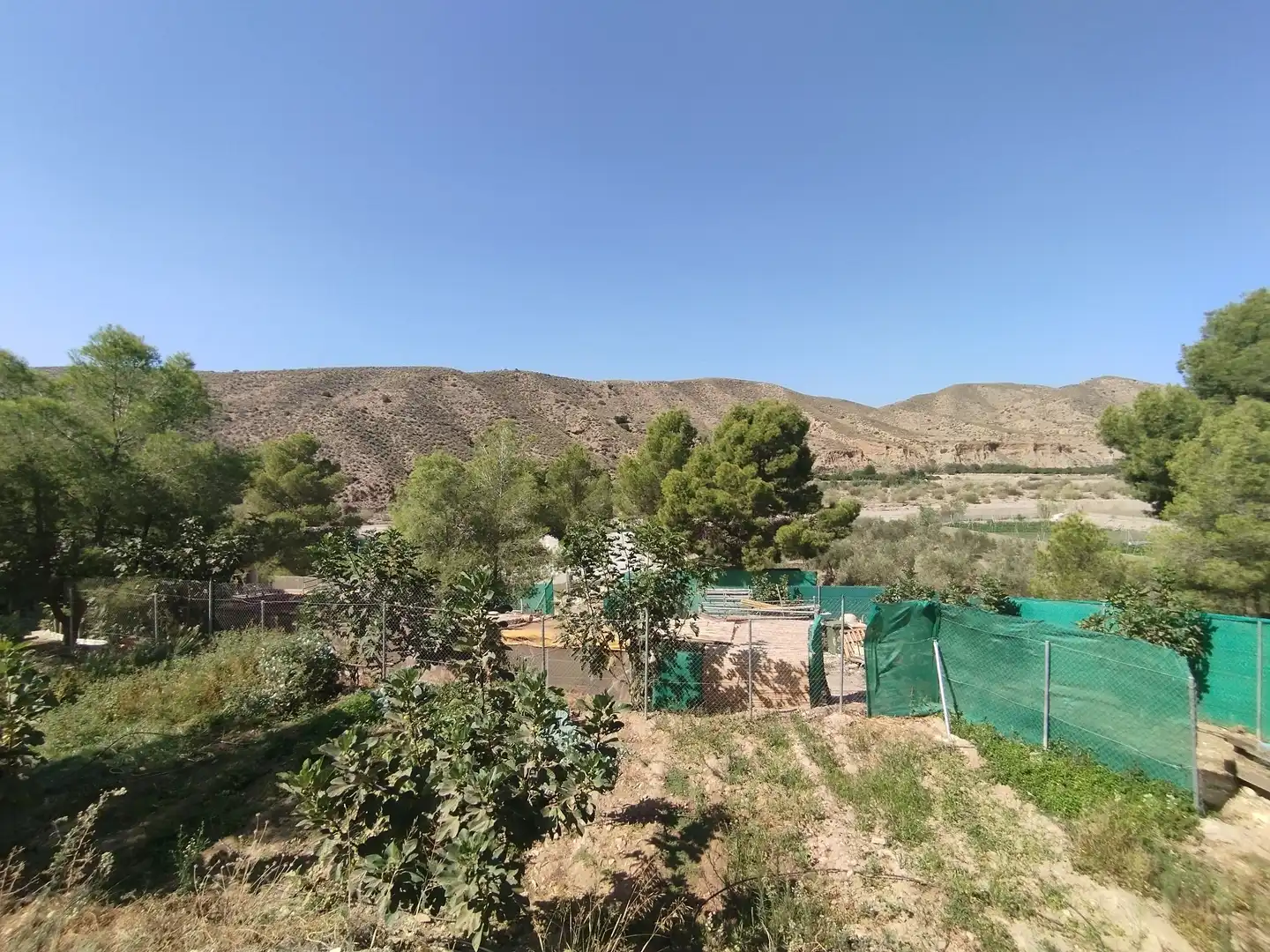 Terreno rustico in vendita a Santa Fe de Mondújar, imagen 59