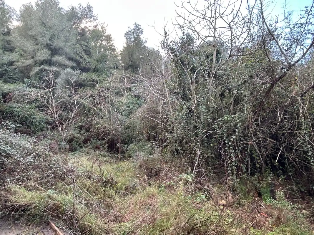 Rural land for sale in Partida Tancaes, imagen 29
