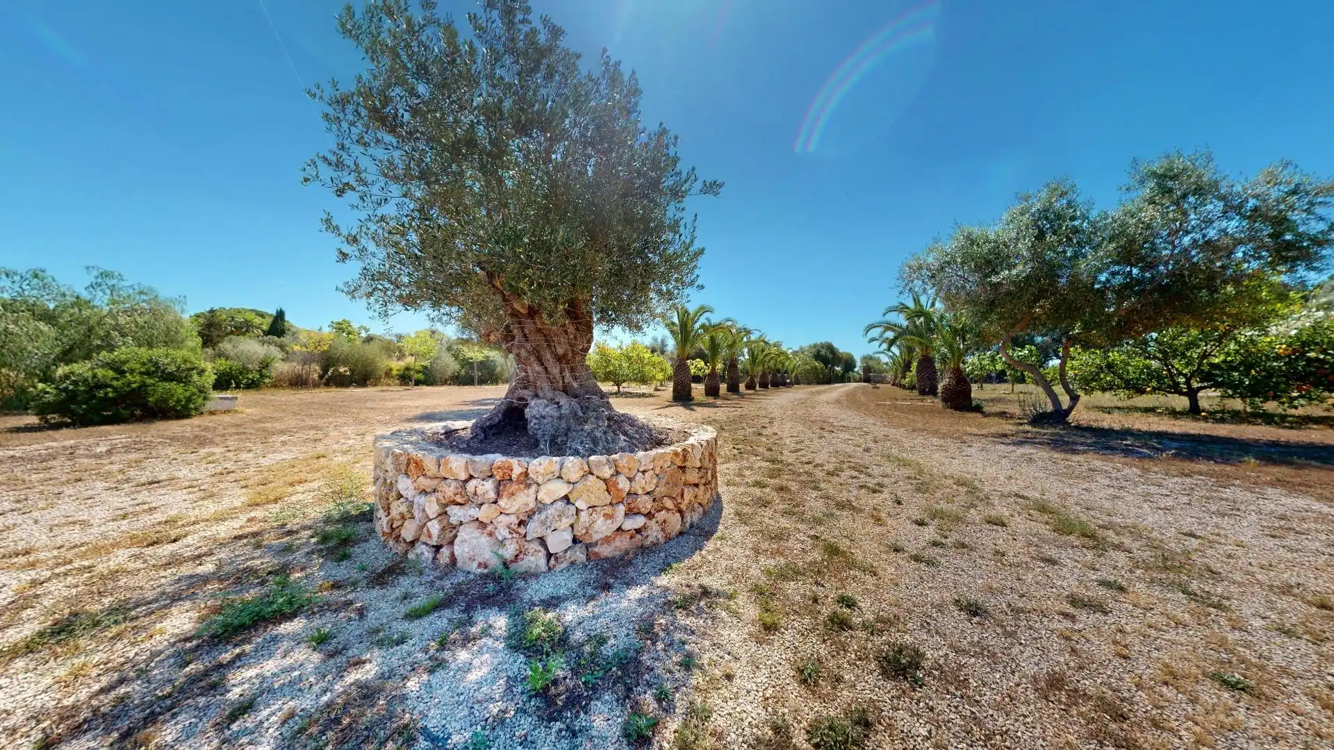 Finca rústica en venda en Sencelles amb Aire condicionat, Calefacció i Jardí privat