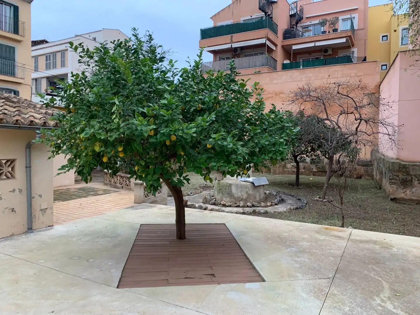 Maison avec jardin à vendre à Andratx pueblo, imagen 36