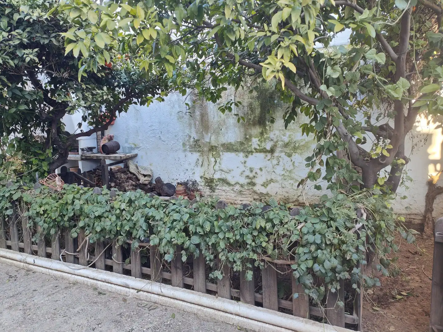 Jardín de Casa o chalet en venta en Bormujos con Aire acondicionado, Calefacción y Trastero