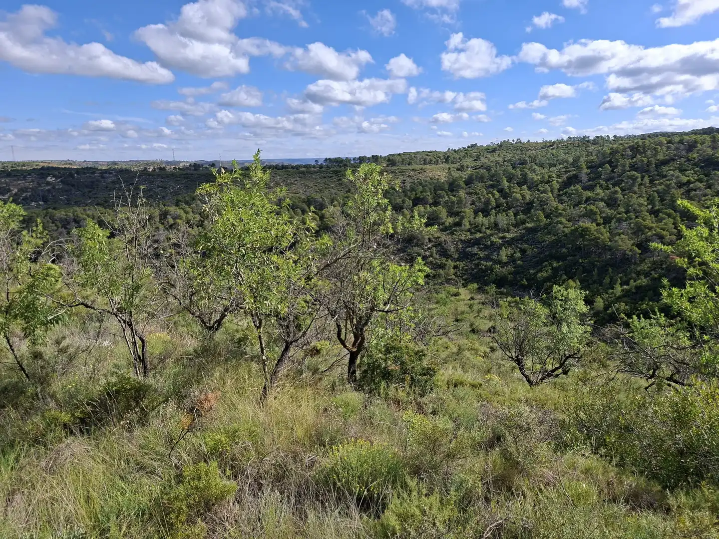Finca rústica en venta en Vilalba dels Arcs