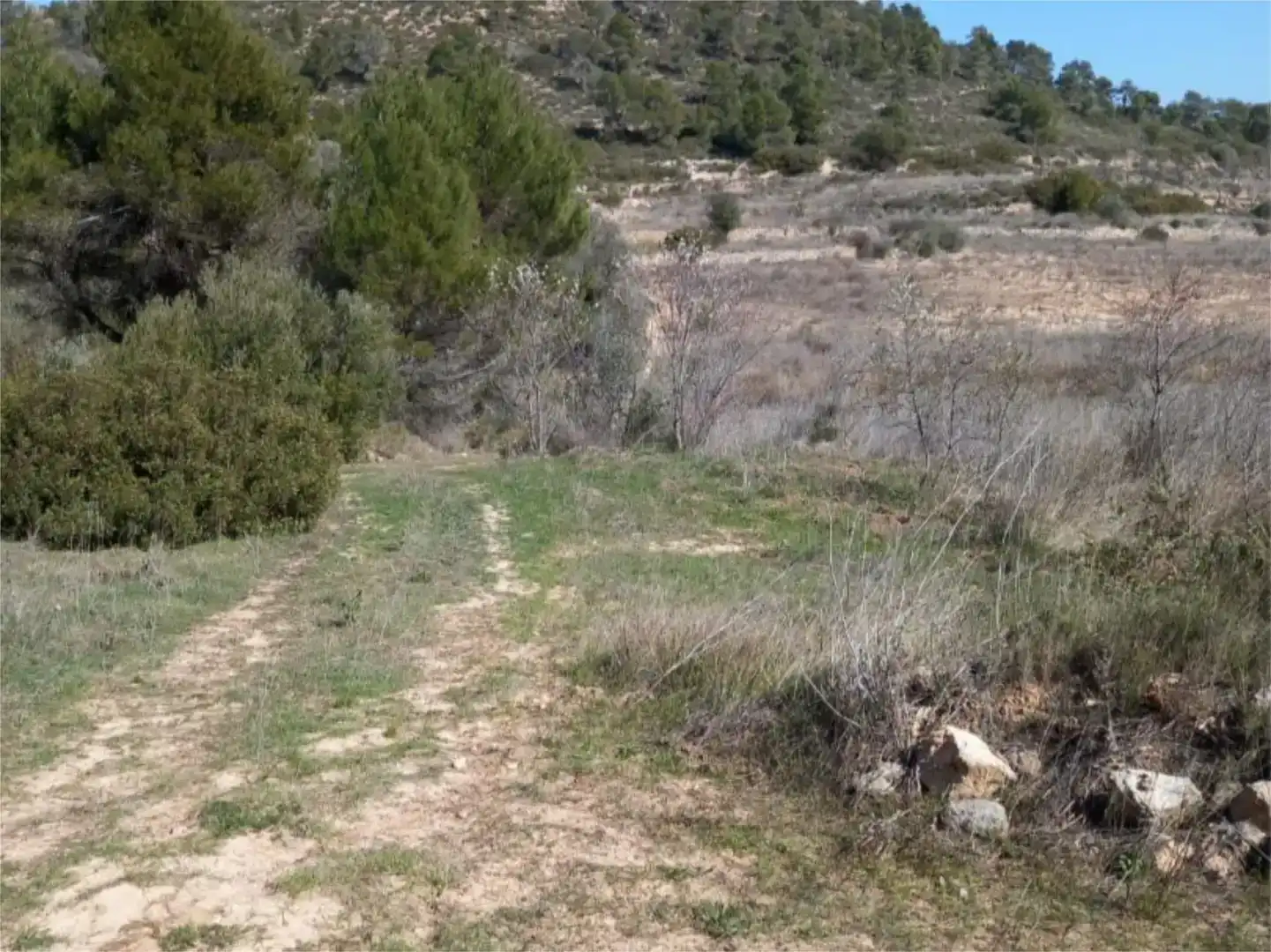 Terreno en venta en Corbera d'Ebre