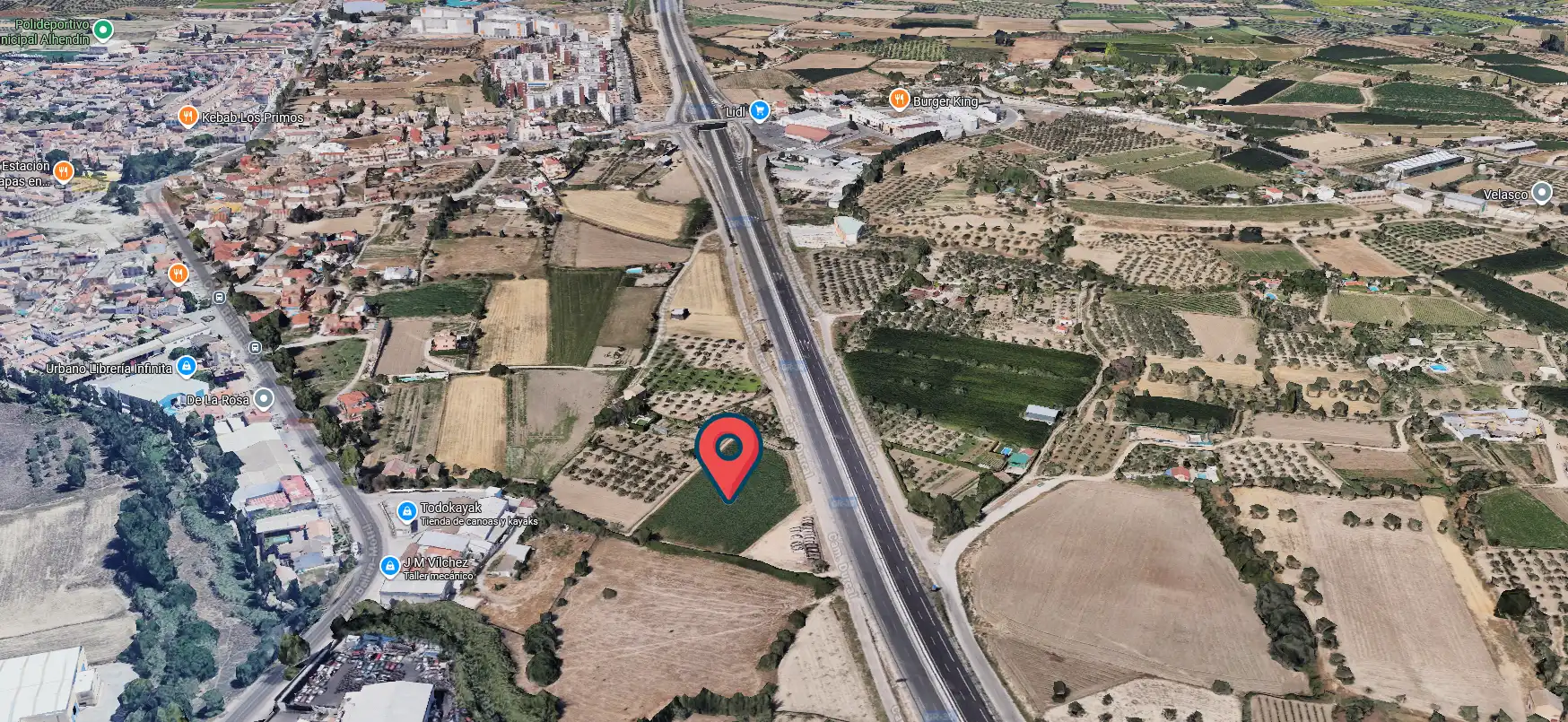 Vista exterior de Terreno en venta en Alhendín