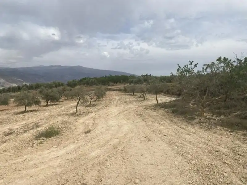 Casa rústica en venda a Padul, imagen 14