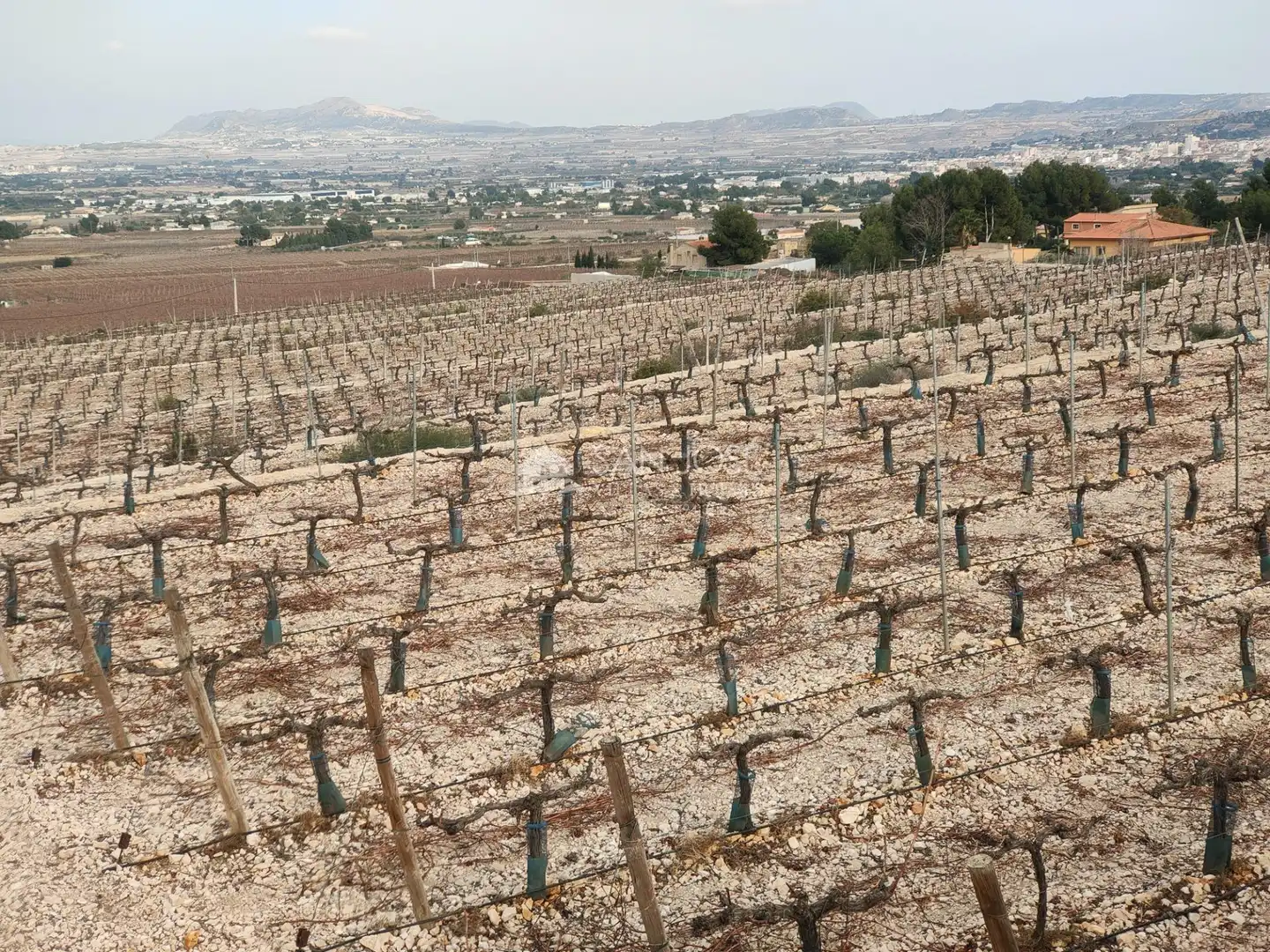 Terreno residenziale in vendita a Pedanías Oeste, imagen 8