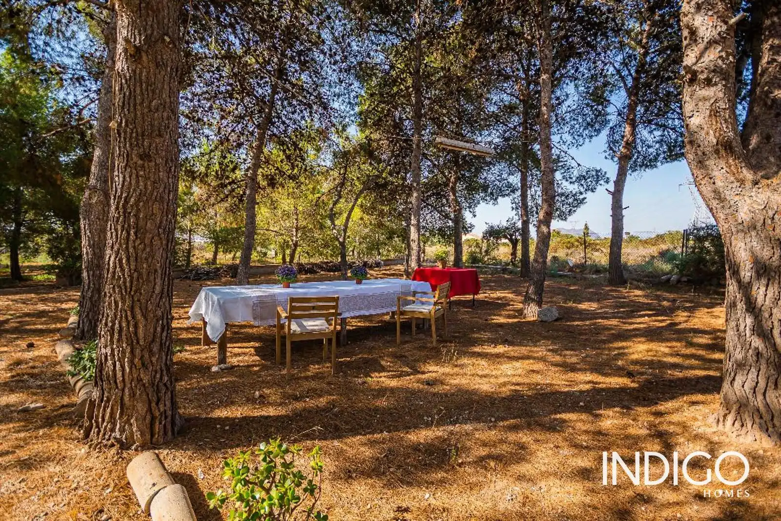 Garden of Houses for sale in San Vicente del Raspeig / Sant Vicent del Raspeig  with Air Conditioner, Heating and Terrace