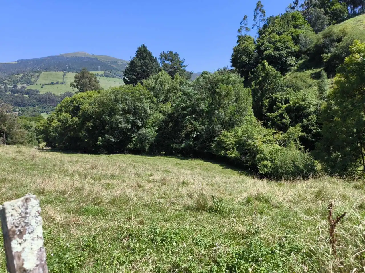 Terreno rustico in vendita a Juan Debia, imagen 3