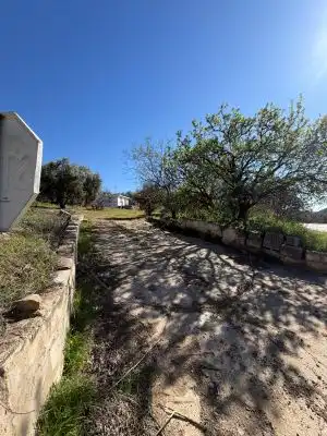 Land for sale in Alfarnatejo