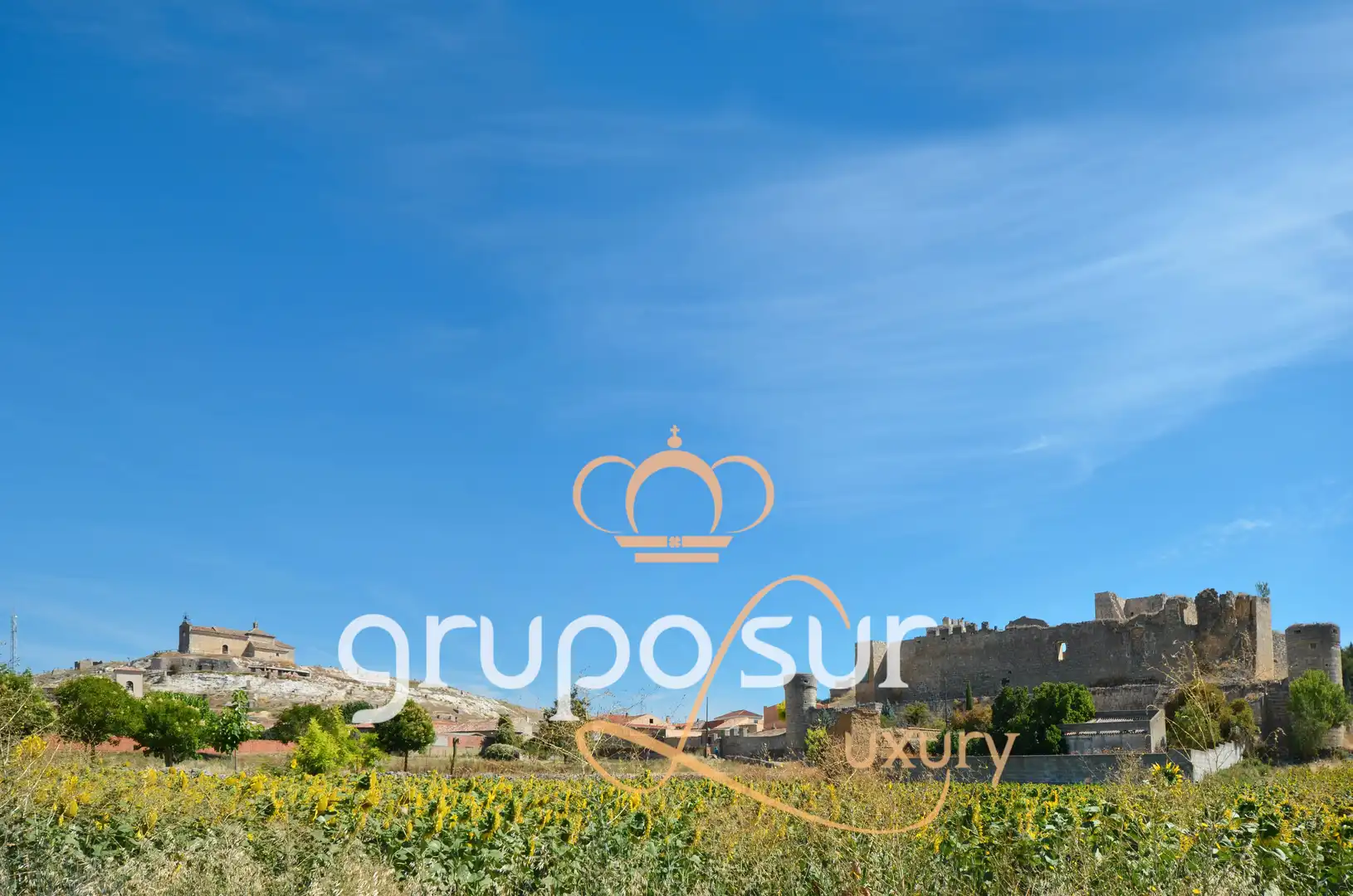 Vista exterior de Casa o chalet en venta en Trigueros del Valle con Calefacción, Jardín privado y Terraza