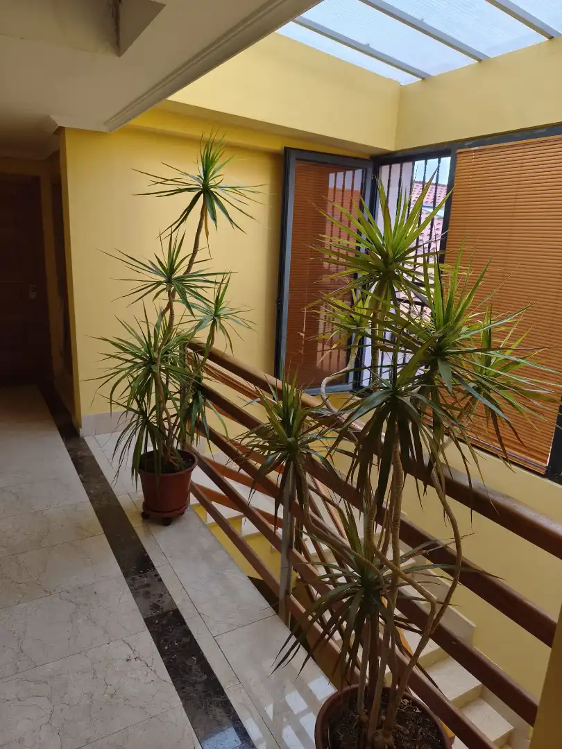 Piso en venta en Arévalo con Calefacción, Terraza y Amueblado