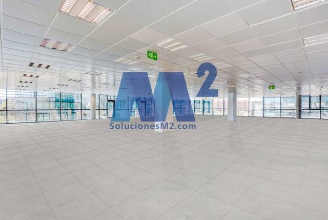 Oficina en Alquiler en Las Tablas