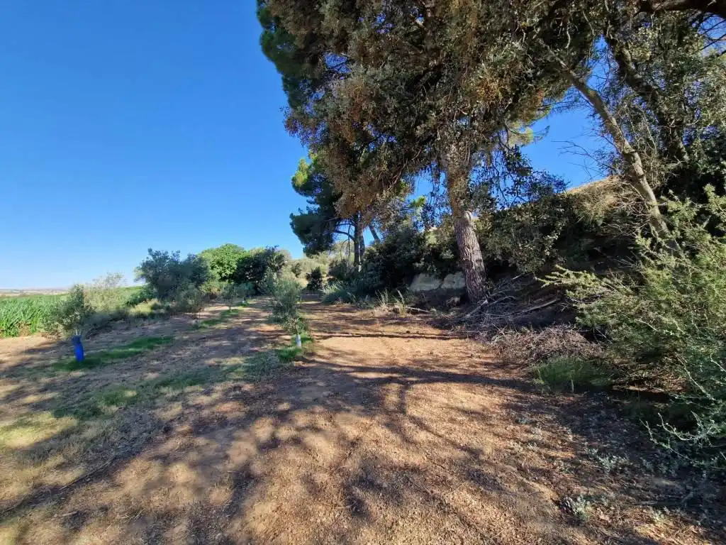 Terreno en venta en Binaced