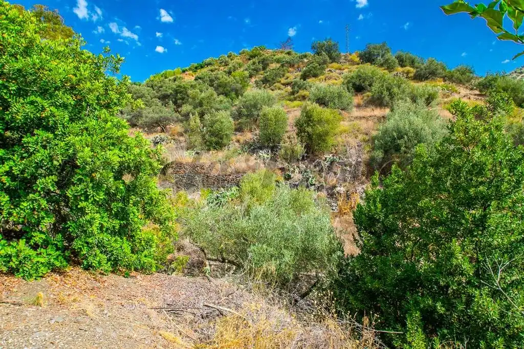 Rustikales Grundstück zum Verkauf in Torrox Pueblo, imagen 6