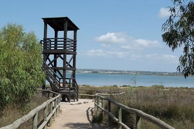 Vista exterior de Apartamento en venta en Torrevieja con Terraza y Balcón