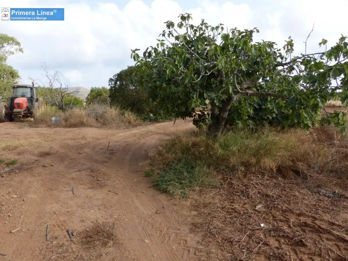 Finca rústica en venda en Cartagena amb Jardí privat