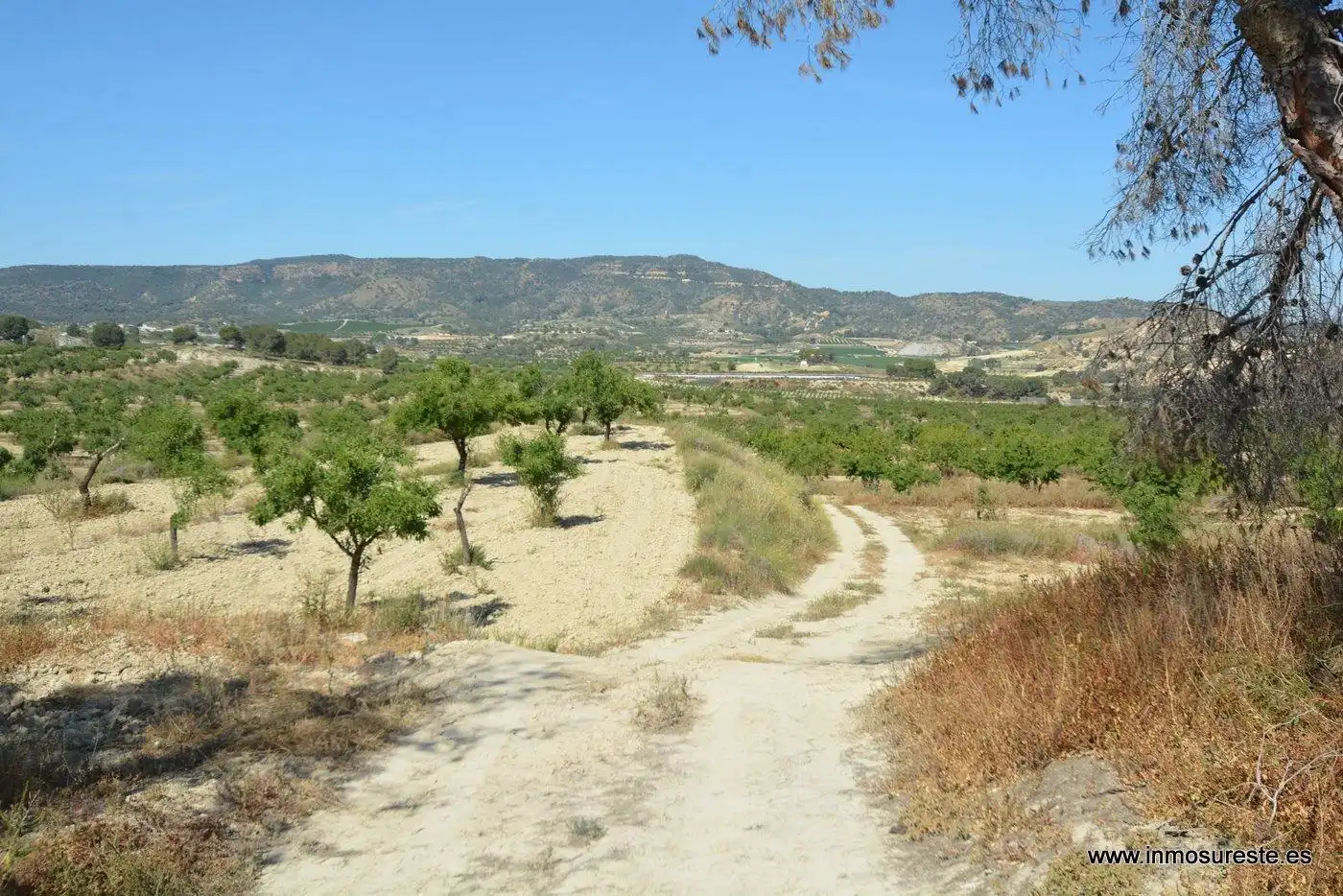 Terreno rustico in vendita a Campo de Murcia, imagen 9