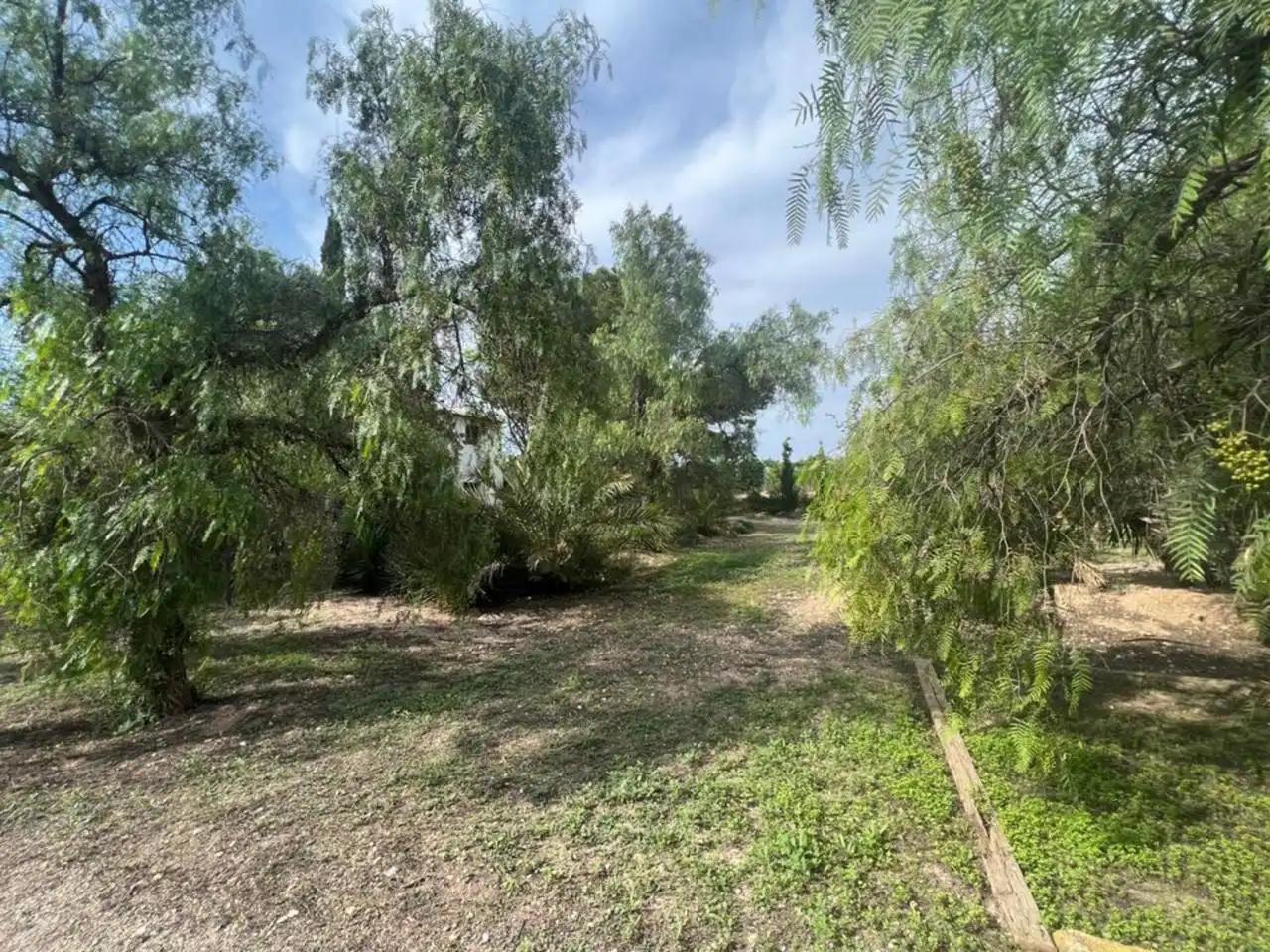 Terreno rústico en venta en Monforte del Cid, imagen 57