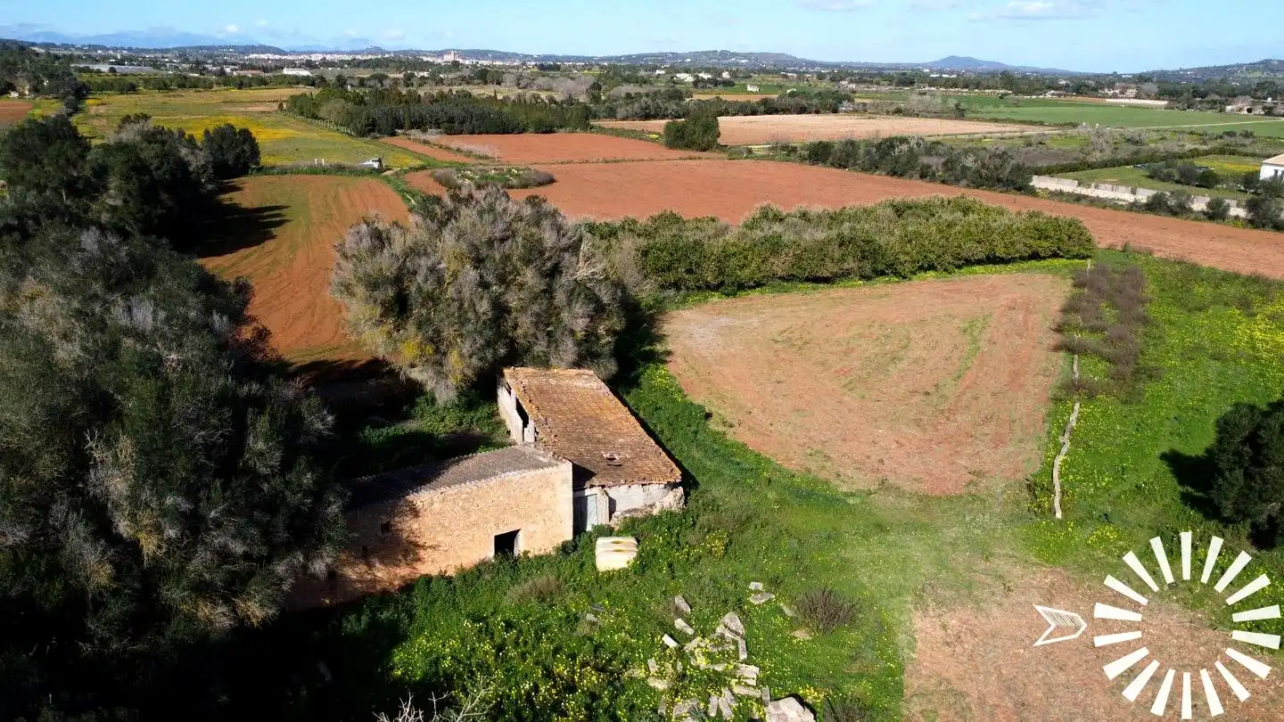 Terrain rustique à vendre à Cami de Son Pau, imagen 37