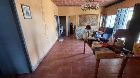 Photo 5 of Country house for sale in Camino Hacienda de la Trinidad, Torreblanca, Sevilla